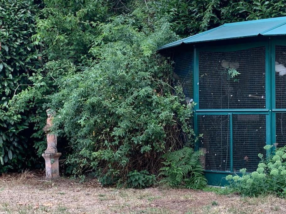 Maisonnette En Clairiere De Foret Gambais Exteriér fotografie