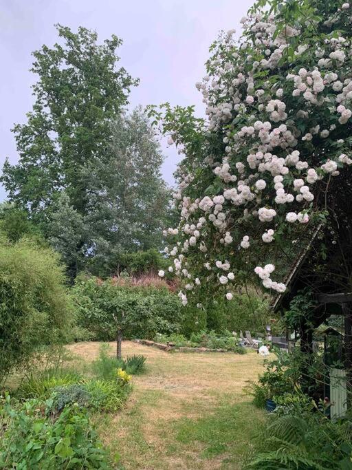 Maisonnette En Clairiere De Foret Gambais Exteriér fotografie