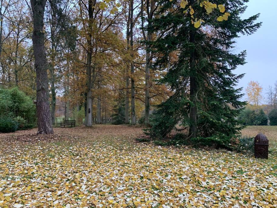 Maisonnette En Clairiere De Foret Gambais Exteriér fotografie