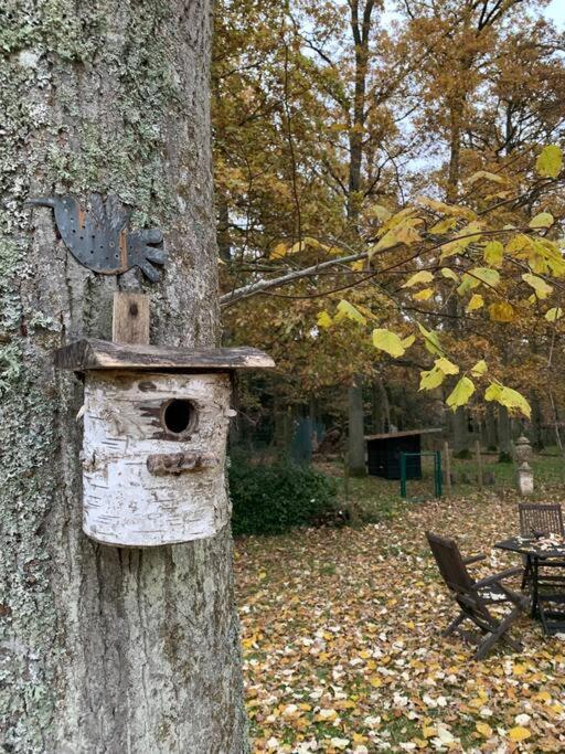 Maisonnette En Clairiere De Foret Gambais Exteriér fotografie