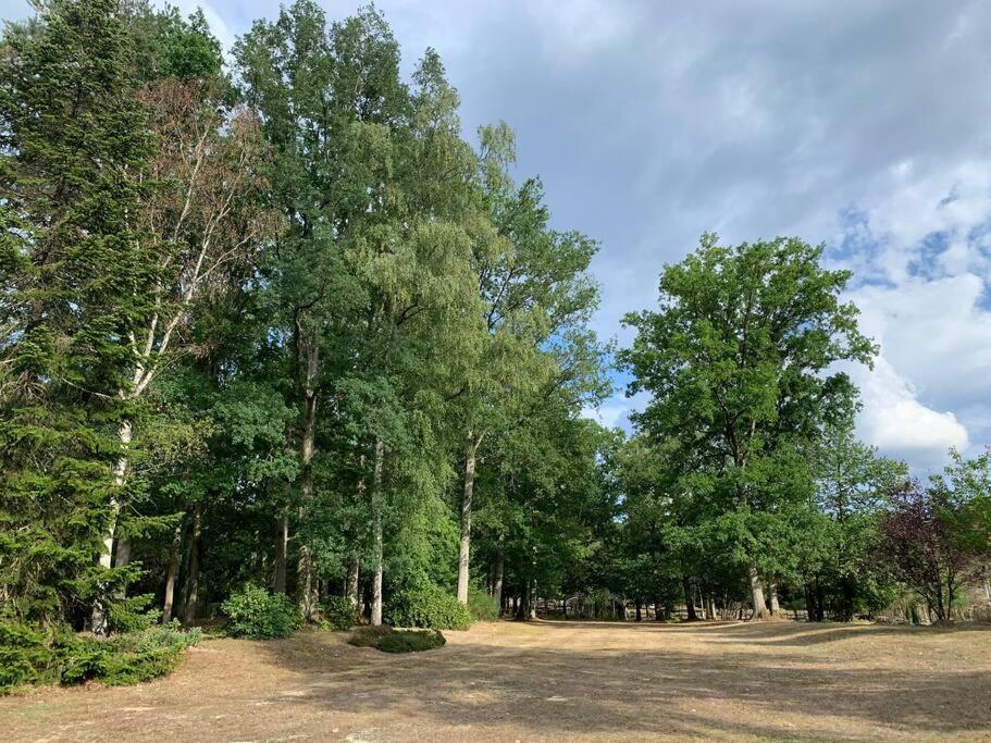 Maisonnette En Clairiere De Foret Gambais Exteriér fotografie